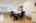 Blurred preview of media: 20416_park_ave--55