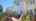 Blurred preview of media: IMG_9963