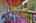 Blurred preview of media: IMG_5183_4_5_easyHDR