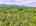 Blurred preview of media: DJI_20260527103753_0044_D_5_D_6_D_easyHDR