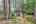 Blurred preview of media: IMG_3078_79_80_easyHDR