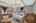 Blurred preview of media: 850_8545