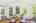 Blurred preview of media: Nerine_072