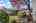 Blurred preview of media: 1-5