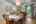 Blurred preview of media: 19625 Callaway Hills Ln-10
