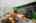 Blurred preview of media: 2-726-0763