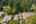 Blurred preview of media: 1-46