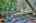 Blurred preview of media: IMG_4793_4_5_easyHDR