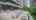 Blurred preview of media: Patio 02