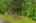 Blurred preview of media: 9