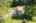 Blurred preview of media: 136 Fairbanks Street West Boylston Massachusetts Job 39378 0050