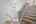 Blurred preview of media: DSC_8569