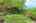 Blurred preview of media: 260105-39