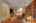Blurred preview of media: 250220-1a