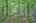 Blurred preview of media: IMG_4736_7_8_easyHDR