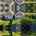 Blurred preview of media: 48