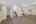 Blurred preview of media: 043