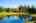 Blurred preview of media: IMG_1342