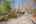 Blurred preview of media: PAX_0242