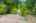 Blurred preview of media: 2-726-1239