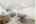 Blurred preview of media: 198 Borden Rd (56)