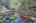 Blurred preview of media: 9zl