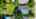 Blurred preview of media: 3