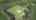 Blurred preview of media: DJI_0899