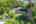 Blurred preview of media: 10_Ipixx_14