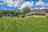 Blurred preview of media: IMG_2452_3_4 edited 1