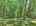 Blurred preview of media: DJI_20260608135517_0485_D_6_D_7_D_easyHDR