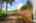 Blurred preview of media: 1-43