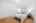 Blurred preview of media: bar_harbor_062
