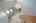 Blurred preview of media: 4376 (55 - 83)