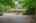 Blurred preview of media: 67 Quaker Lane Bolton Massachusetts Job 39838 0001