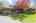 Blurred preview of media: 99 Beaver Road Reading Massachusetts Job 39079 0082