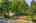Blurred preview of media: 1-1
