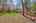 Blurred preview of media: IMG_9685_6_7_easyHDR