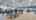 Blurred preview of media: ipixx-200 (9)