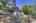 Blurred preview of media: 003