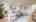 Blurred preview of media: IMG_9314