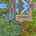 Blurred preview of media: FPP00001