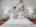 Blurred preview of media: 0011