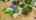 Blurred preview of media: 20141-5