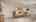 Blurred preview of media: IMG_1985