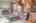 Blurred preview of media: IMG_1249