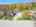 Blurred preview of media: DJI_0999