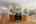 Blurred preview of media: 37 Fir (11)