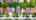 Blurred preview of media: 46