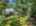 Blurred preview of media: 51-roosevelt-trail-hopatcong-nj-usa-drone-012